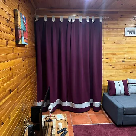 Mountain T3 Duplex Abrigo Do Lobo アパート *