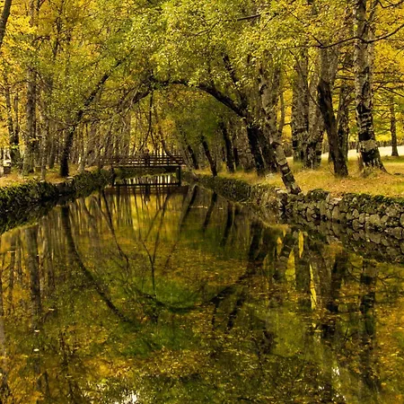 Mountain T3 Duplex Abrigo Do Lobo Penhas da Saúde