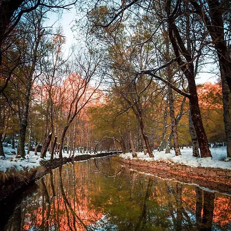 Mountain T3 Duplex Abrigo Do Lobo * Penhas da Saúde