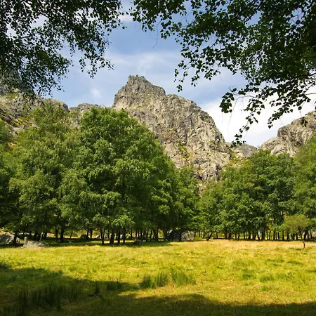 Mountain T3 Duplex Abrigo Do Lobo *