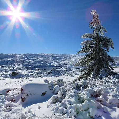 Mountain T3 Duplex Abrigo Do Lobo * Penhas da Saúde