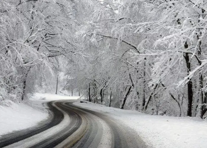 Mountain T3 Duplex Abrigo Do Lobo Апартаменты *