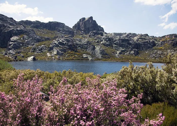 Апартаменты Mountain T3 Duplex Abrigo Do Lobo