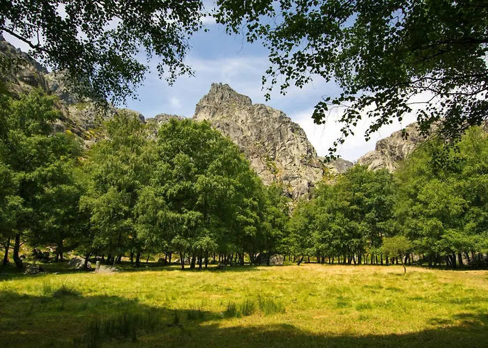 Mountain T3 Duplex Abrigo Do Lobo *