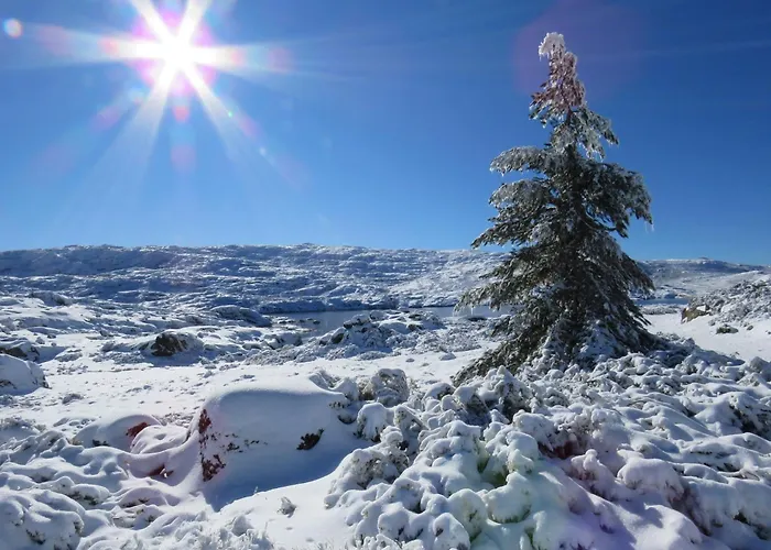 Mountain T3 Duplex Abrigo Do Lobo * Пеньяс-да-Сауде