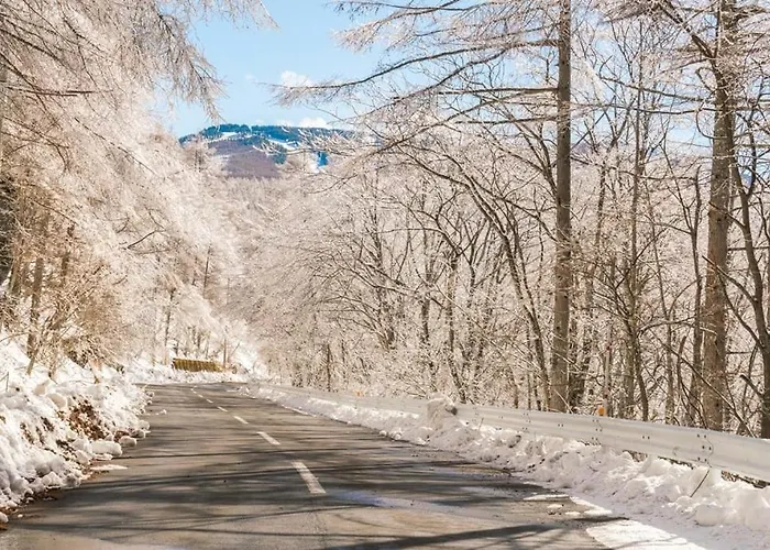 Апартаменты Mountain T3 Duplex Abrigo Do Lobo